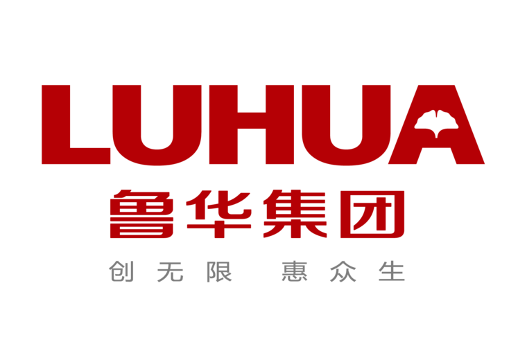 山东鲁华能源集团